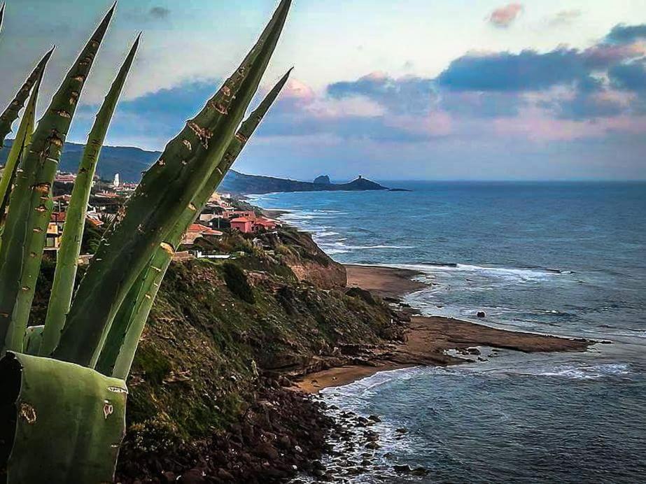 Affittacamere Oasi di Padru B&B Magomadas Esterno foto